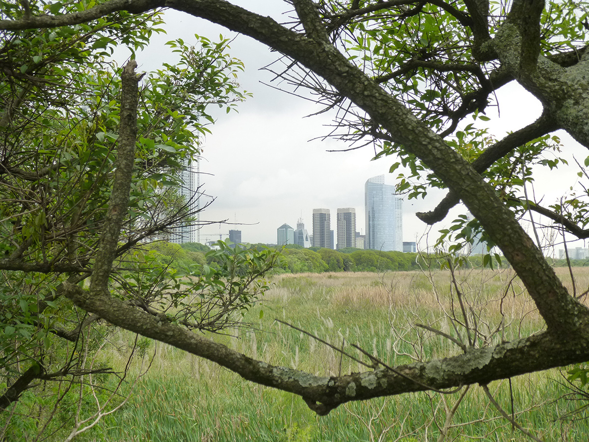 Ribera norte, San Isidro y Costanera Sur (CABA)