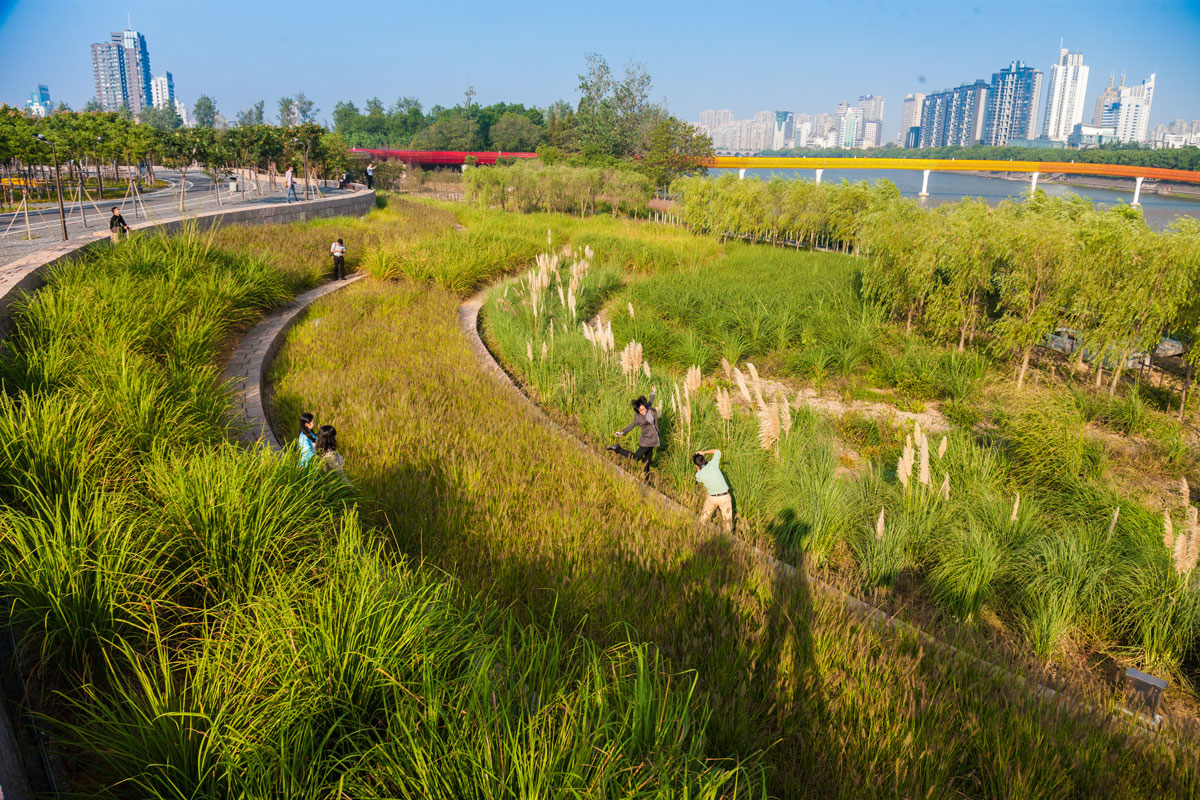 Figura 5. Un paisaje resiliente: parque Yanweizhou, ciudad de Jinhua, provincia de Zhejiang, China.